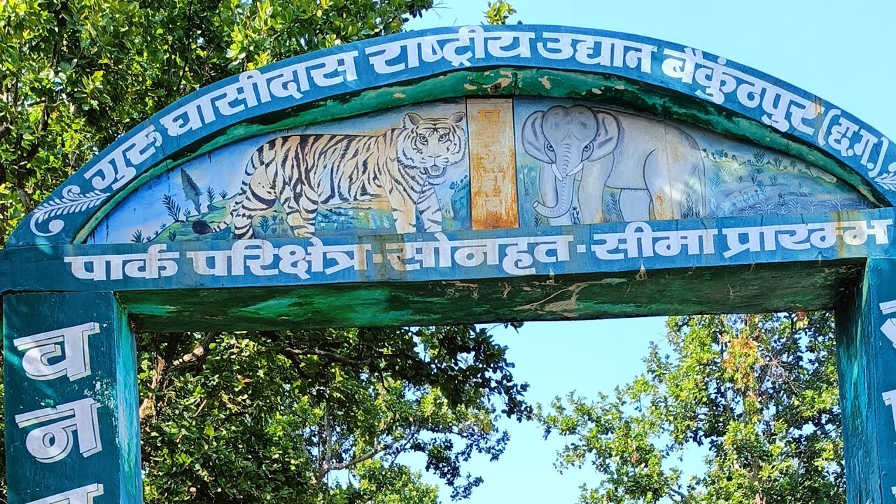 गुरू घासीदास राष्ट्रीय उद्यान कोरिया छत्तीसगढ़